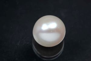 freshwater pearls, half drilled Button, approx. size Ø10,5-11,0mm, Hoch 8,5-9,0mm, color white