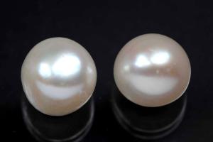 freshwater pearls, half drilled Button, approx. size Ø10,5-11,0mm, Hoch 8,5-9,0mm, color white
