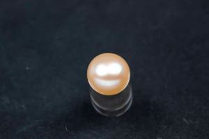 freshwater pearls, half drilled Button, approx. size Ø6,0-6,5mm, high 5,0-5,5mm, color peach
