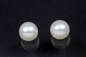 freshwater pearls, half drilled Button, approx. size Ø6,5-7,0mm, high 5,5-6,0mm, color white