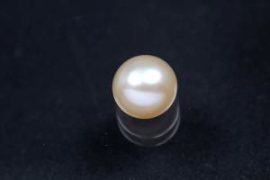 freshwater pearls, half drilled Button, approx. size Ø7,0-7,5mm, high 5,5-6,0mm, color peach