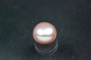 freshwater pearls, half drilled Button, approx. size Ø7,5-8,0mm, high 5,5-6,0mm, color plum