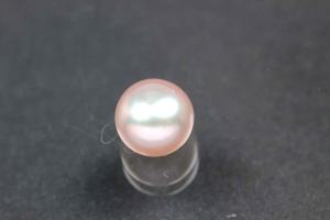 freshwater pearls, half drilled Button, approx. size Ø7,5-8,0mm, Hoch 6,0-6,5mm, color plum