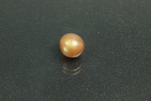 Freshwater pearl lot, undrilled, approx. dimensions 6.5mm to approx. 7.0mm, oval shape, color shades of brown.