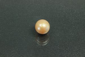 Freshwater pearl lot, undrilled, approx. dimensions 7,0mm to approx. 7.5mm, oval shape, color shades of gold.